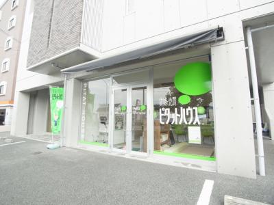 �s�^�b�g�n�E�X���̐X�X�̓���