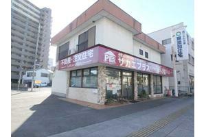 ������ЃT�J�G�z�[���v���X�O��